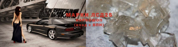 СК Нефтекумск