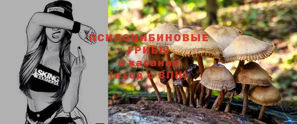 соль ск Нефтегорск