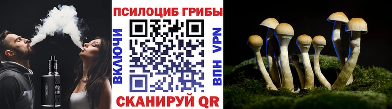 Псилоцибиновые грибы мицелий  Заволжск 